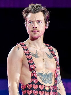 Harry styles en Colombia